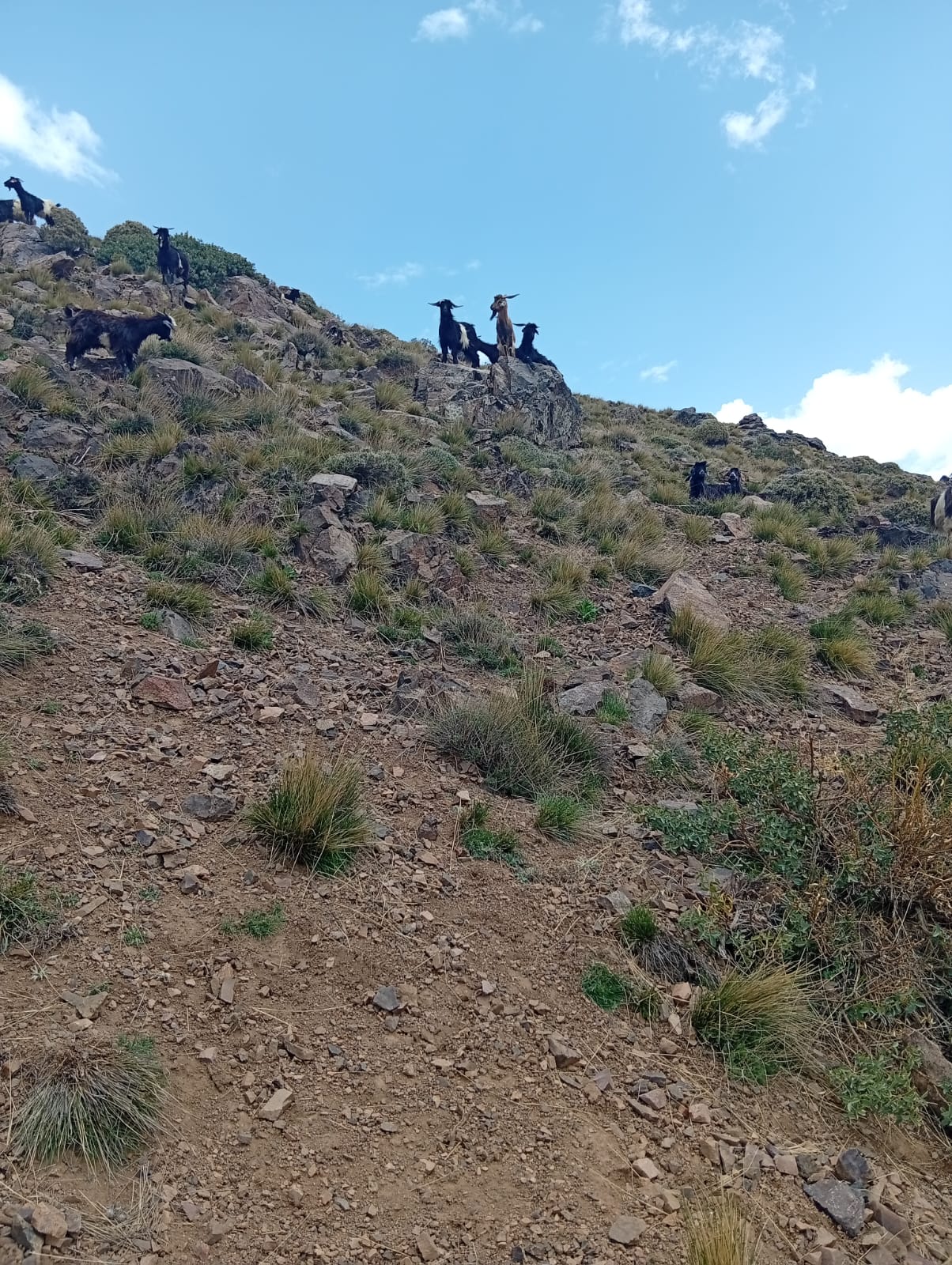 6 Days Mount Toubkal Around Trek